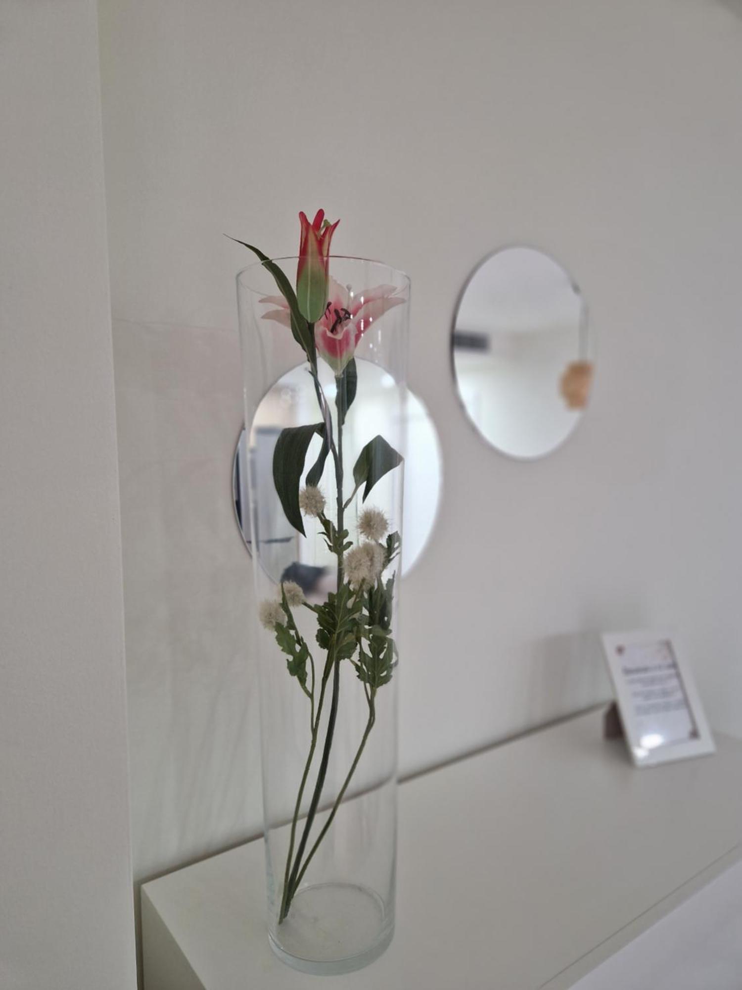 Apartamento V27 Баеза Екстериор снимка